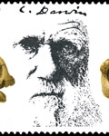 Image of David Gentleman's 103 Issued Stamps - 1970-1999
