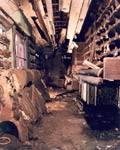 Image of TPO Restoration