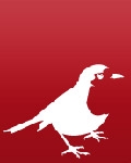 Image of Robin