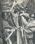 Image of Engineers & Cracking Codes