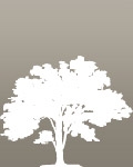 Image of Oak Tree