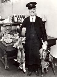 Photograph of postman holding pheasants and hares 